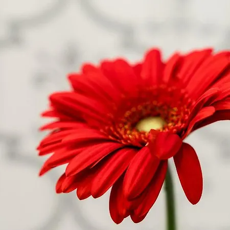 Parkowa Appartamento Sopot